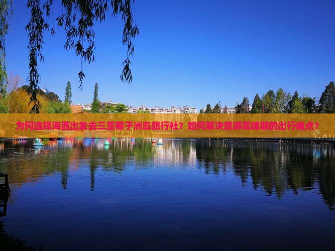 为何选择海西出发去三亚椰子洲岛旅行社？如何解决旅游高峰期的出行痛点？