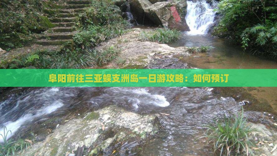 阜阳前往三亚蜈支洲岛一日游攻略：如何预订