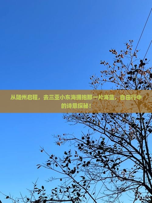 从随州启程，去三亚小东海拥抱那一片海蓝，自由行中的诗意探秘！