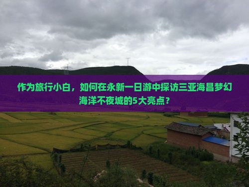 作为旅行小白，如何在永新一日游中探访三亚海昌梦幻海洋不夜城的5大亮点？