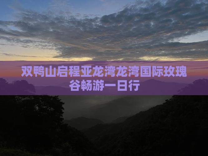 双鸭山启程亚龙湾龙湾国际玫瑰谷畅游一日行