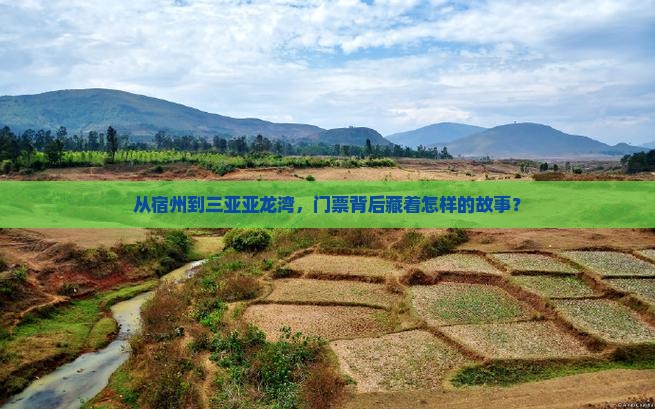 从宿州到三亚亚龙湾，门票背后藏着怎样的故事？