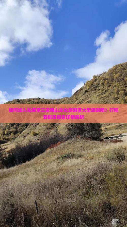 如何加入松原至三亚南山文化旅游区大型旅游团？行程安排及报名详情解析