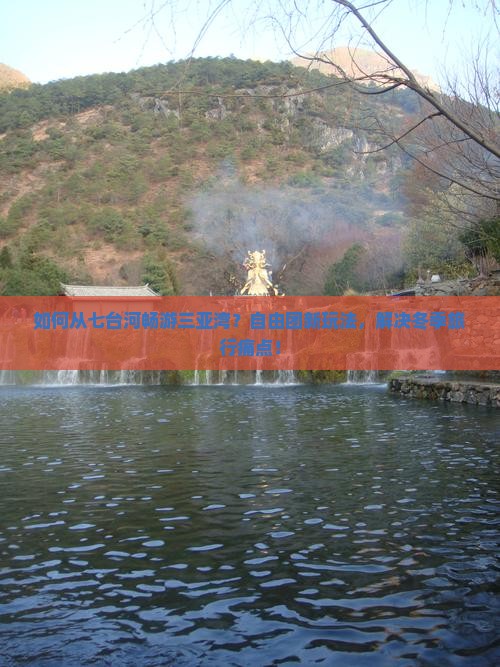 如何从七台河畅游三亚湾？自由团新玩法，解决冬季旅行痛点！