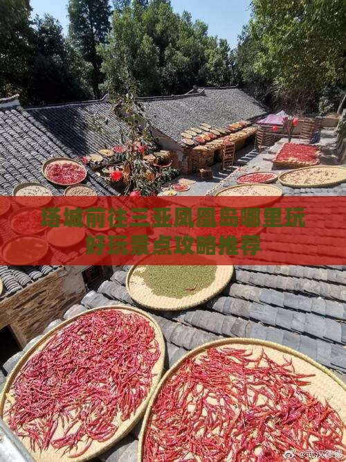 塔城前往三亚凤凰岛哪里玩好玩景点攻略推荐