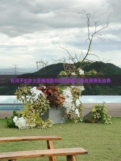 石河子出发三亚南湾猴岛四日游含门票含餐费无自费