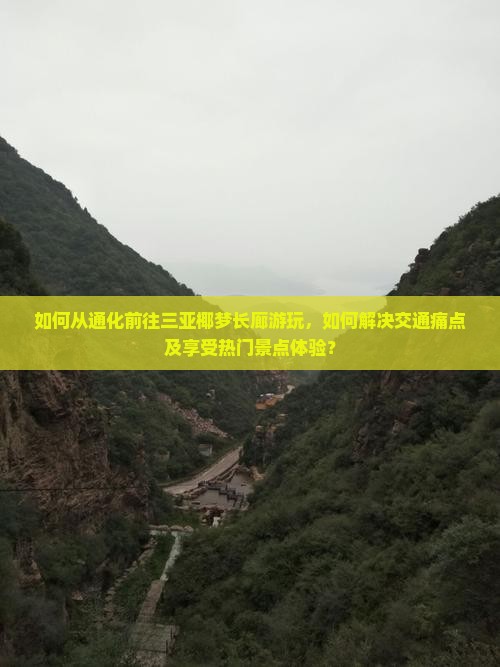 如何从通化前往三亚椰梦长廊游玩，如何解决交通痛点及享受热门景点体验？