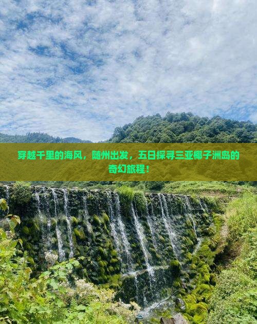 穿越千里的海风，随州出发，五日探寻三亚椰子洲岛的奇幻旅程！