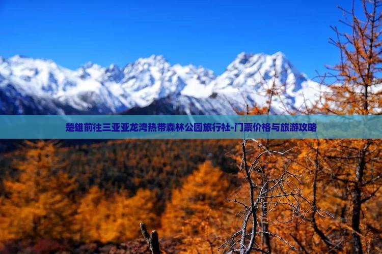 楚雄前往三亚亚龙湾热带森林公园旅行社-门票价格与旅游攻略