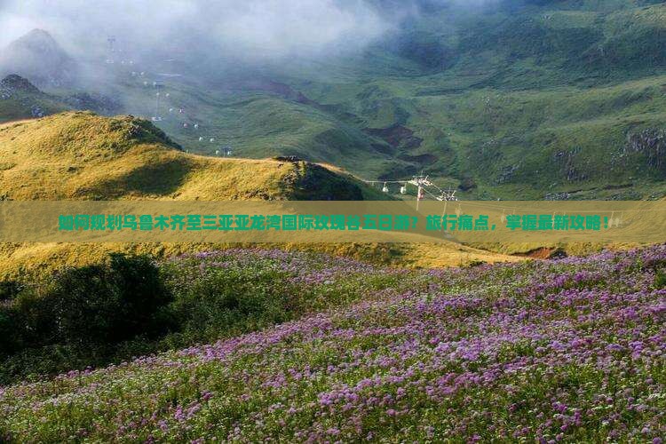 如何规划乌鲁木齐至三亚亚龙湾国际玫瑰谷五日游？旅行痛点，掌握最新攻略！