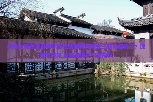 为什么克孜勒苏柯尔克孜的游客都跑去三亚皇后湾了？原生态海湾+高端度假村引发热议