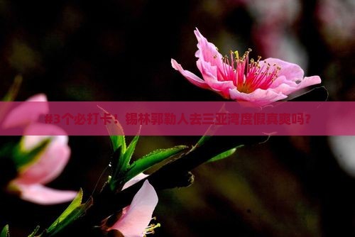 #3个必打卡！锡林郭勒人去三亚湾度假真爽吗？