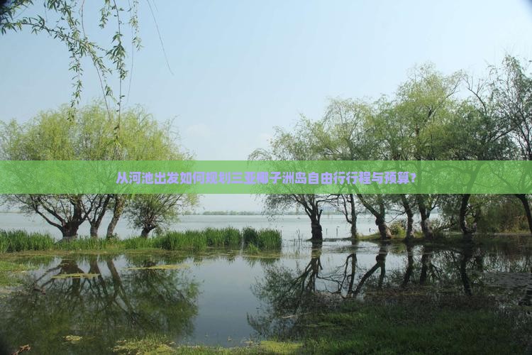 从河池出发如何规划三亚椰子洲岛自由行行程与预算？