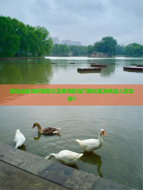 绥化出发如何获取三亚南湾猴岛门票优惠及快速入园攻略？