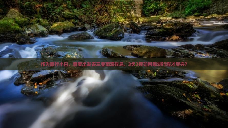 作为旅行小白，雅安出发去三亚南湾猴岛，3天2夜如何规划行程才尽兴？