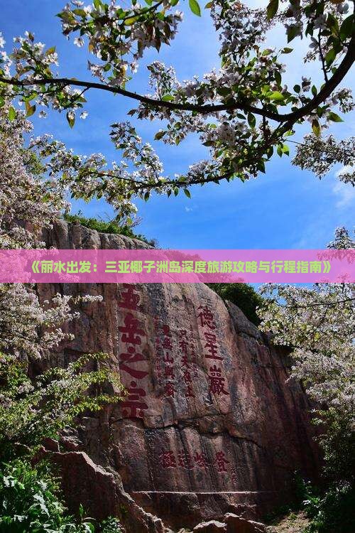 《丽水出发：三亚椰子洲岛深度旅游攻略与行程指南》