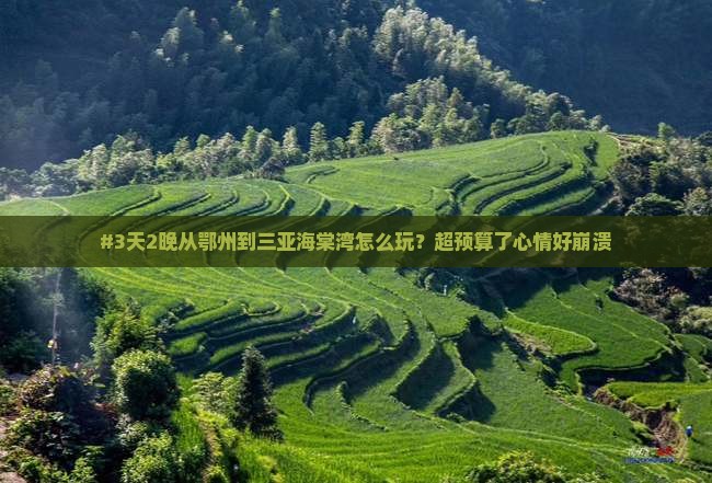 #3天2晚从鄂州到三亚海棠湾怎么玩？超预算了心情好崩溃