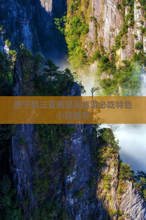 西宁到三亚鹿回头旅游必吃特色小吃推荐