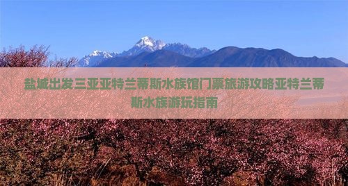 盐城出发三亚亚特兰蒂斯水族馆门票旅游攻略亚特兰蒂斯水族游玩指南