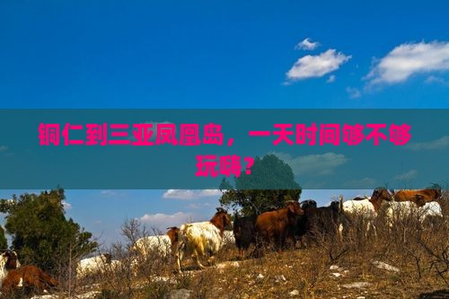 铜仁到三亚凤凰岛，一天时间够不够玩嗨？