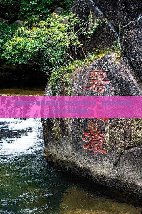 一场鄂尔多斯到三亚亚龙湾的梦幻穿梭，两天时间能见证多少海岛奇遇？