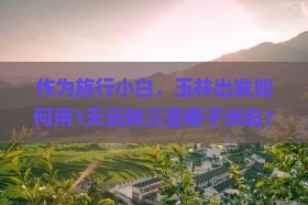 作为旅行小白，玉林出发如何用1天玩转三亚椰子洲岛？开心岛游攻略疑问解答！