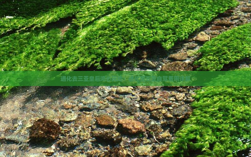 通化去三亚皇后湾必玩地：通化至三亚自驾费用详解