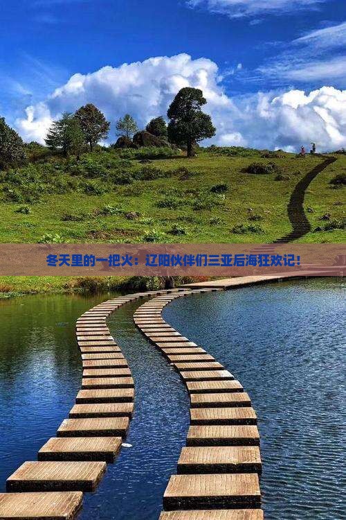 冬天里的一把火：辽阳伙伴们三亚后海狂欢记！