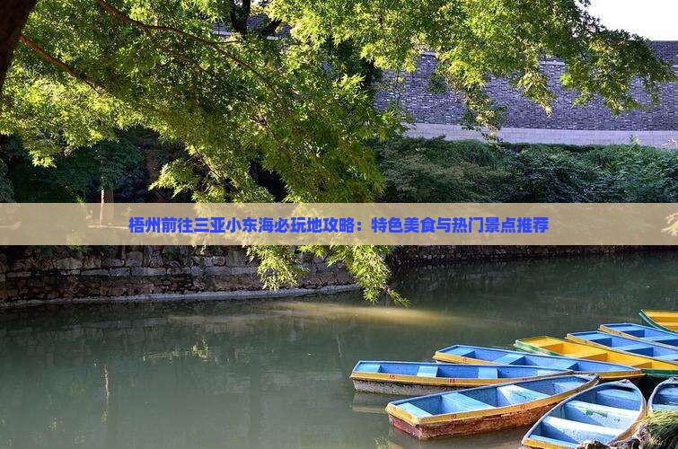 梧州前往三亚小东海必玩地攻略：特色美食与热门景点推荐