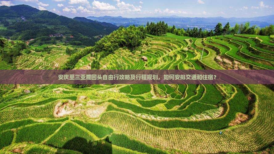 安庆至三亚鹿回头自由行攻略及行程规划，如何安排交通和住宿？