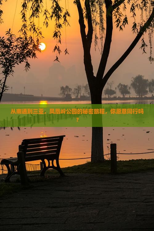 从南通到三亚，凤凰岭公园的秘密旅程，你愿意同行吗？