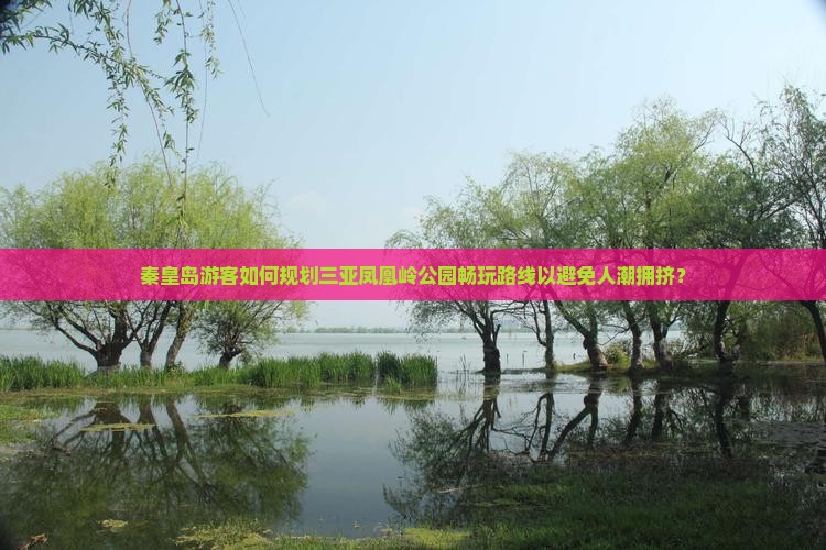 秦皇岛游客如何规划三亚凤凰岭公园畅玩路线以避免人潮拥挤？