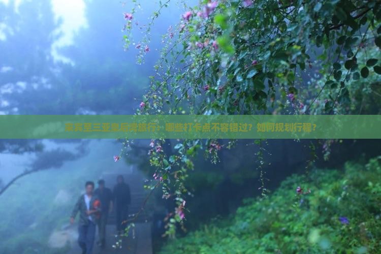 来宾至三亚皇后湾旅行：哪些打卡点不容错过？如何规划行程？