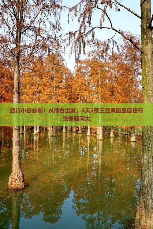 旅行小白必看！从邢台出发，3天2夜三亚凤凰岛自由行攻略疑问大