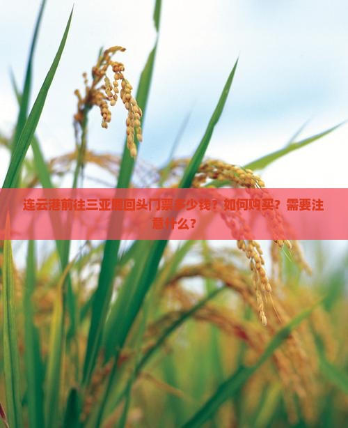 连云港前往三亚鹿回头门票多少钱？如何购买？需要注意什么？