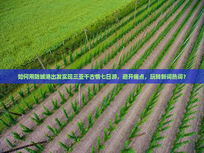 如何用防城港出发实现三亚千古情七日游，避开痛点，玩转新词热词？