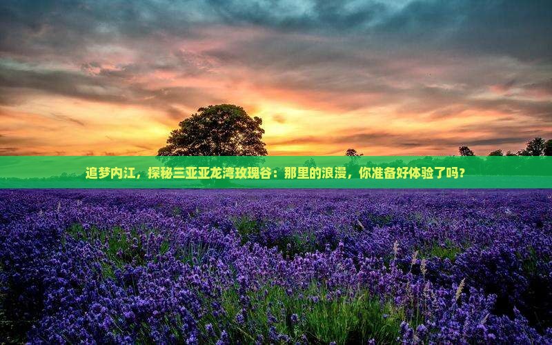 追梦内江，探秘三亚亚龙湾玫瑰谷：那里的浪漫，你准备好体验了吗？