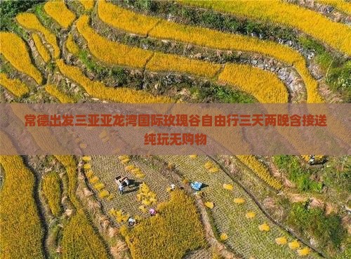 常德出发三亚亚龙湾国际玫瑰谷自由行三天两晚含接送纯玩无购物