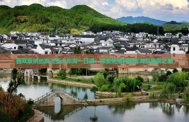 西双版纳出发三亚大东海一日游：探索热带风情与海岛美景之旅
