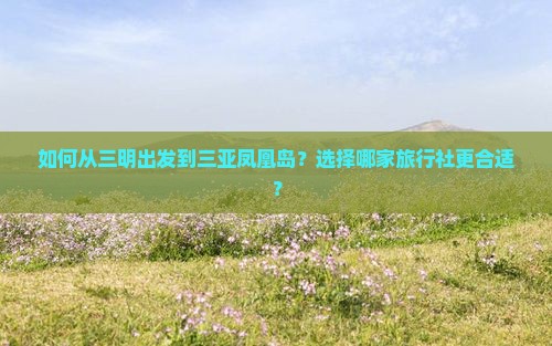 如何从三明出发到三亚凤凰岛？选择哪家旅行社更合适？