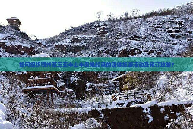 如何组织鄂州至三亚半山半岛帆船港的团体旅游活动及预订攻略？