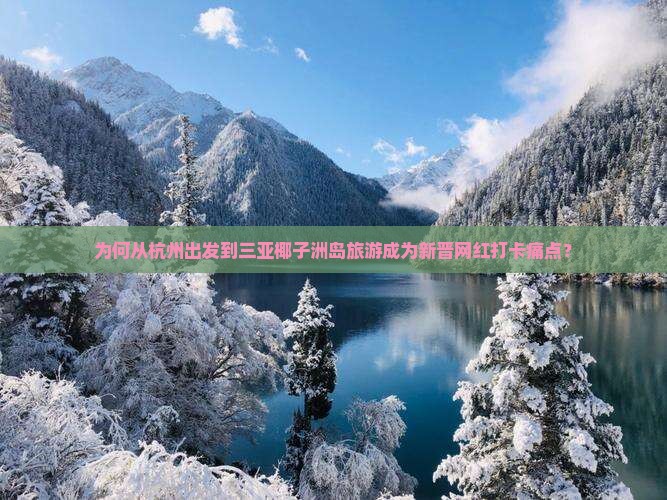 为何从杭州出发到三亚椰子洲岛旅游成为新晋网红打卡痛点？