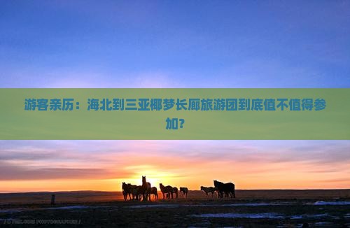 游客亲历：海北到三亚椰梦长廊旅游团到底值不值得参加？