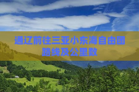 通辽前往三亚小东海自由团路线及公里数