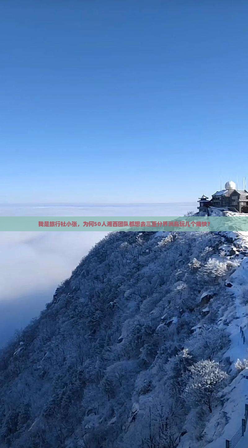 我是旅行社小张，为何50人湘西团队都想去三亚分界洲岛玩儿个痛快？