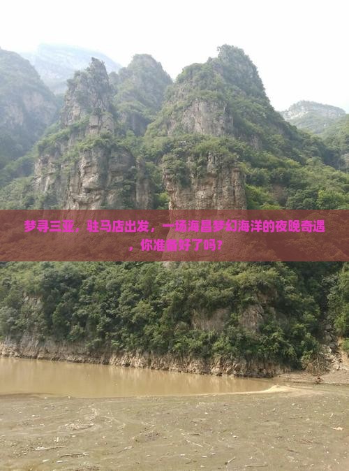 梦寻三亚，驻马店出发，一场海昌梦幻海洋的夜晚奇遇，你准备好了吗？