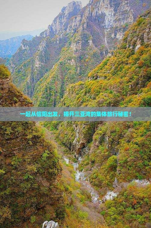 一起从信阳出发，揭开三亚湾的集体旅行秘密！