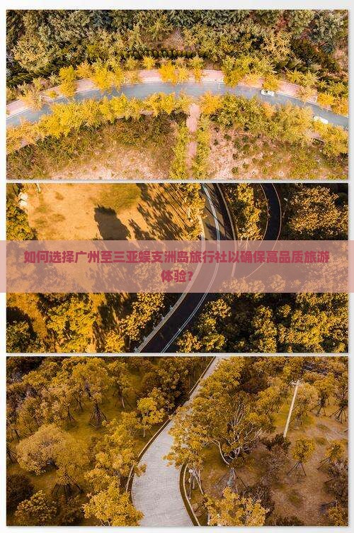 如何选择广州至三亚蜈支洲岛旅行社以确保高品质旅游体验？