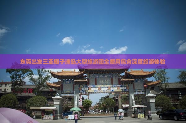 东莞出发三亚椰子洲岛大型旅游团全费用包含深度旅游体验