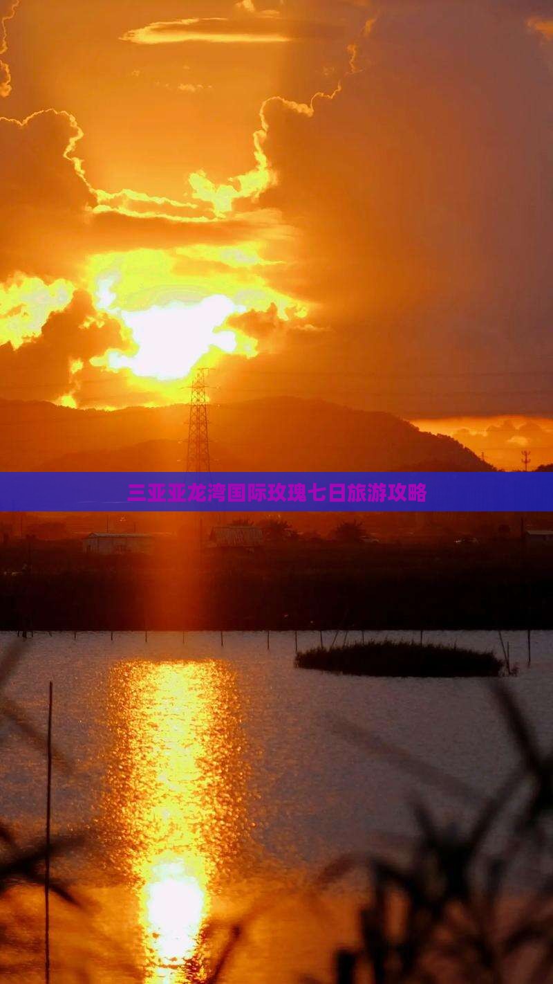 三亚亚龙湾国际玫瑰七日旅游攻略